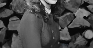 Mary Ingalls: The Inspiring Story of Strength, Blindness, and Resilience